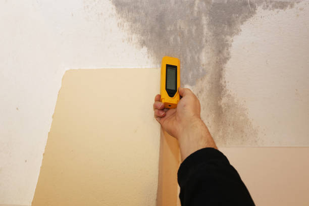 Best Mold Removal for HVAC Installations  in Elgin, OR