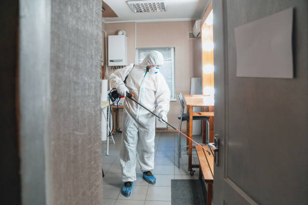 Mold Removal for HVAC Installations in Elgin, OR