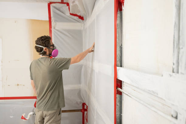 Best Black Mold Removal  in Elgin, OR