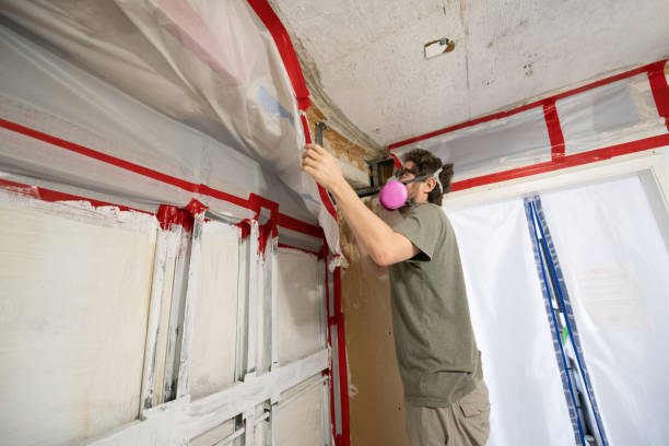 Best Biohazard Mold Removal  in Elgin, OR