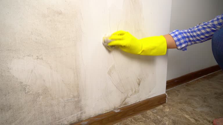 Best Post-Remediation Verification Testing  in Elgin, OR