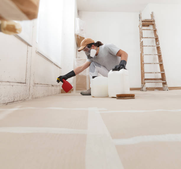 Best Mold Odor Removal Services  in Elgin, OR