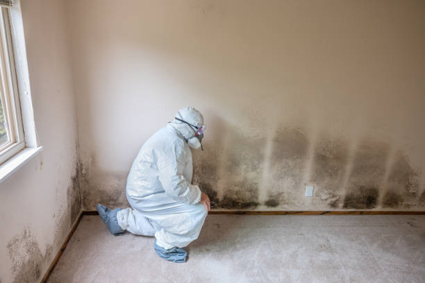 Best Airborne Mold Testing  in Elgin, OR